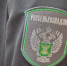 В Херсонской области Россельхознадзором пресечена перевозка 245 кг мясных полуфабрикатов и мороженого без документов - Министерство АПК и продовольственной политики