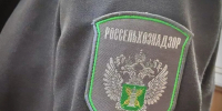 В Херсонской области Россельхознадзором пресечена перевозка 245 кг мясных полуфабрикатов и мороженого без документов - Министерство АПК и продовольственной политики