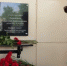 Память участника СВО Дмитрия Перепелицы увековечили  в Белгородском округе - Сетевое издание Знамя 31