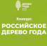 смоленская область участвует в конкурсе «Российское дерево года – 2026» - фото - 3 - Министерство природных ресурсов и экологии