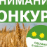 «Вкусное творчество»: готовьте, творите, побеждайте - Управление культуры
