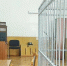 В Комсомольске мужчину осудили за кражу 8000 рублей с банковской карты знакомого - Известно.ру