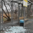 Во Владивостоке устанавливаются личности вандалов, громящих городскую инфраструктуру - ГТРК Владивосток