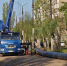 photo_2026-05-08_11-09-47 - Novosti-Saratova.Ru
