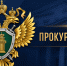Домодедовской городской прокуратурой проведена проверка по обращению местной жительницы о нарушении её прав на обеспечение техническими средствами реабилитации (ТСР). - Администрация г. Домодедово