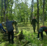 Сегодня в городской парковой зоне были проведены плановые работы по благоустройству.. - Город Адыгейск