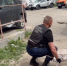 В Нижнем Тагиле спасатели вызволили хищную птицу - ИА Все новости