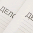 Экс-главе НКО, подозреваемому в мошенничестве, продлили арест на Ставрополье - ИА Победа 26