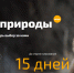 В России летом впервые пройдёт всенародное голосование за топ-100 редких видов животных и растений - Министерство лесного хозяйства и природопользования