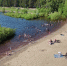 Безопасность на водных объектах Тюмени обсудили депутаты городской Думы - ГТРК Регион-Тюмень