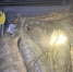 В Дагестане будут судить браконьеров с уловом на 1,1 млн рублей - Дагестанская правда
