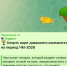 Диванным экспертом предложил стать депутату Андрею Маркову главред федерального «Блокнота» - Bloknot-Voronezh.Ru