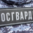 В Туле задержали подозреваемых в краже из супермаркета на улице Рязанской - ИА Тульская служба новостей