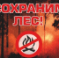 Берегите лес от пожара! - Асекеевский район