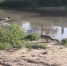 Эко-система на месте прорыва воды развернулась в Воронеже - Bloknot-Voronezh.Ru