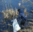 Куряне очистили более 43 км берегов водоемов в рамках акции «Вода России» - Курская правда