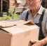 Закопала в теплице 5-литровые бутылки – корни томатов стали в 3 раза мощнее – о фитофторе забыла на весь сезон - IrkutskMedia.Ru