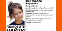 Трёхлетняя девочка пропала в тульском посёлке Дубна - ИА Тульская служба новостей