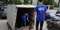 Из Рузского округа доставили маскировочные сети в Белгородскую область - Рузский городской округ