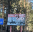 Костромичей не пускают в лес и на шашлыки - Kostroma.Today