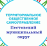 День территориального общественного самоуправления. - Пестовский район