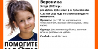 В Дубенском районе пропала трехлетняя девочка: идут поиски - ИА Тульская пресса.Ru