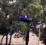 Видео: как в Китае дроны ловят нарушителей ПДД - Петербургский дневник