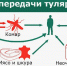Осторожно, туляремия! - Город Мирный