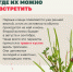 Клещи уже вышли на охоту и встретить их можно не только в лесу. - Городская больница №4