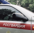 В Тамбовке сотрудники Росгвардии задержали мужчину, который управлял автомобилем в состоянии алкогольного опьянения - Росгвардия