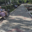 Дождались: новую льготу вводят для пенсионеров - проверьте, кому положена - Pg12.Ru