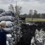Житель Омской области устроил завод по производству угля в заказнике «Высокий увал» - Om1.Ru