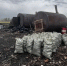 В заказнике под Омском организовали незаконное производство древесного угля - ИА Новый Омск