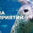 Афиша мероприятий на 16-17 мая - Туристско-информационный центр