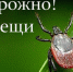 Что необходимо для профилактики заболевания КГЛ? - Газета Семикаракорские вести