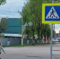 В Кольчугине после вмешательства прокуратуры установят светофоры рядом со школами - Progorod33.Ru
