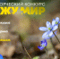 Конкурс «Я вижу Мир – Цветущая Планета» - Ишимский педагогический институт