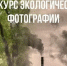 Вологжане могут принять участие в областном экологическом конкурсе - Вологда.РФ