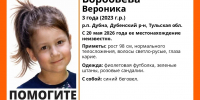 Прокуратура взяла на контроль пропажу трехлетней девочки под Дубной - ТК Первый Тульский