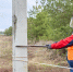 «Белгородэнерго» обеспечит электроэнергией более 1,9 тысячи участков  частных застройщиков. - Ивнянский район