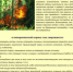 Памятка по пожарам. - Кикнурский округ