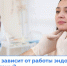 Щитовидка, надпочечники, гормоны — дирижёры вашего организма!. - Центральная районная больница