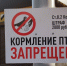 Кормите птиц в городских парках в установленных местах! - Администрация г. Курган