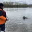 Вчера краевые спасатели были задействованы в трёх поисковых операциях - Газета Красноярский рабочий