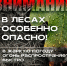 Нижегородский Минлесхоз напоминает о важности соблюдения правил пожарной безопасности в лесах - Сеченовский муниципальный округ