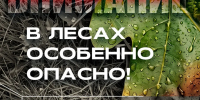 Нижегородский Минлесхоз напоминает о важности соблюдения правил пожарной безопасности в лесах - Сеченовский муниципальный округ