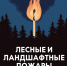 Лесные и ландшафтные пожары - угроза жизни! - Администрация Хабаровского района