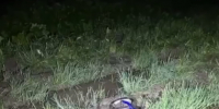 На месте пропажи трехлетней Вероники Воробьевой в Дубне найден синий беговел - ТК Первый Тульский