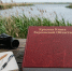 Ученым приходится заново собирать материалы для будущей Красной книги Херсонской области - Херсонское агентство новостей