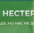 Amurlife - Amur.Life